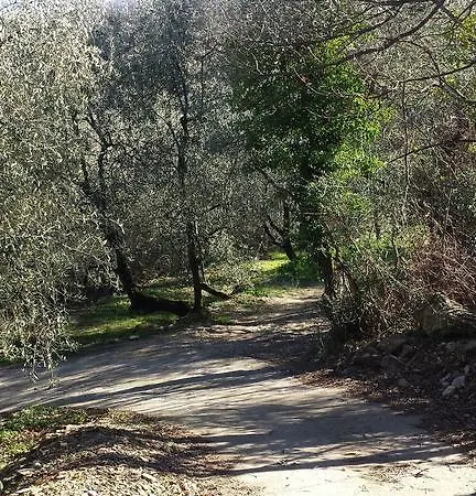 Immerso Nel Chiusavecchia