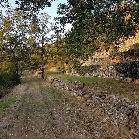 Alloggio per agriturismo Immerso Nel