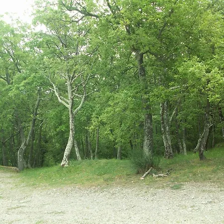 Immerso Nel Alloggio per agriturismo *
