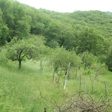 Alloggio per agriturismo Immerso Nel