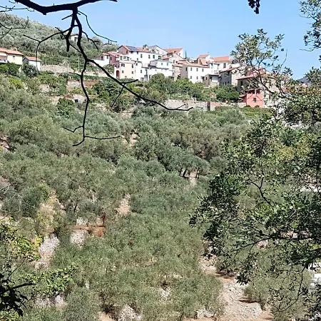 Alloggio per agriturismo Immerso Nel