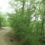 Piccolo Rifugio Nel *