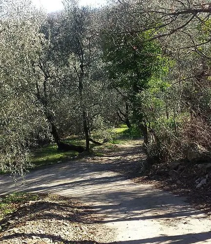 Piccolo Rifugio Nel Chiusavecchia