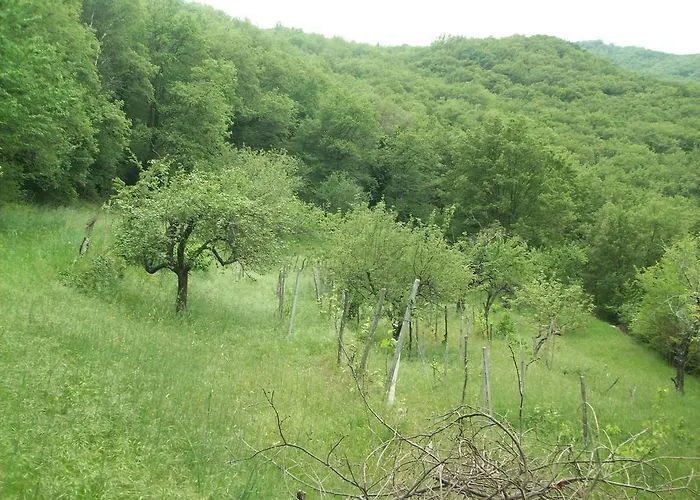 Séjour à la ferme Piccolo Rifugio Nel